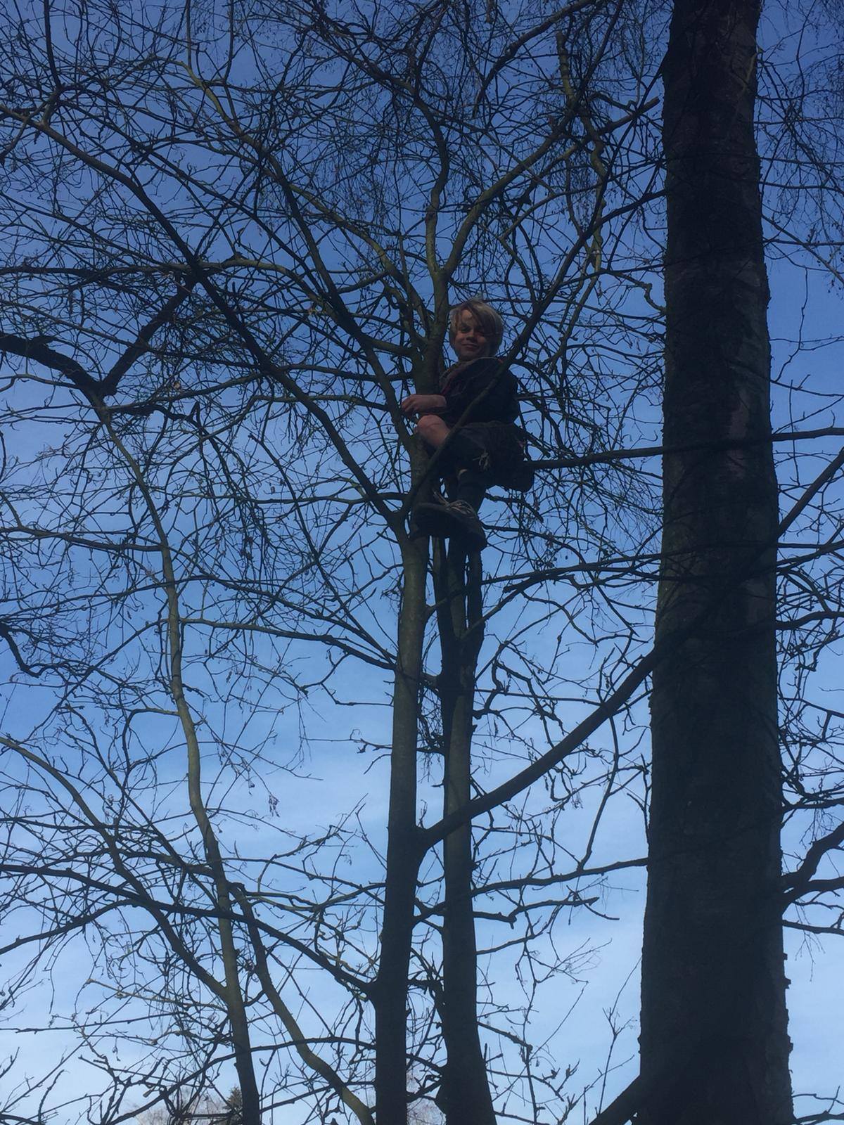 Sint-Martinus den XIIde - Ladderspel WK